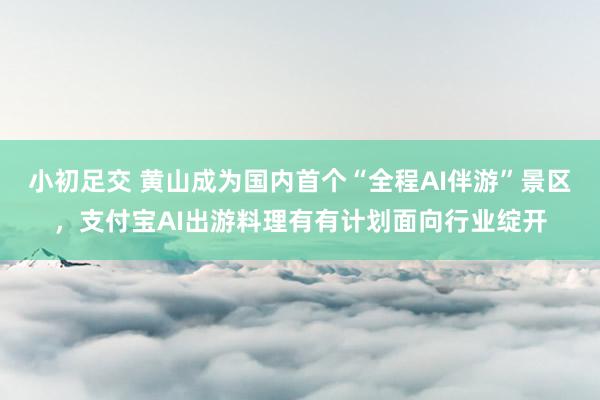 小初足交 黄山成为国内首个“全程AI伴游”景区，支付宝AI出游料理有有计划面向行业绽开