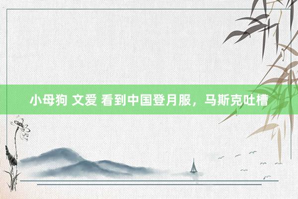 小母狗 文爱 看到中国登月服，马斯克吐槽