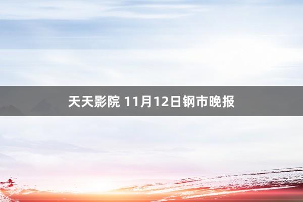 天天影院 11月12日钢市晚报