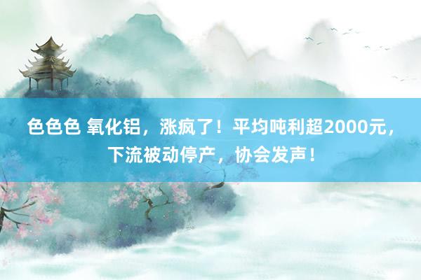 色色色 氧化铝，涨疯了！平均吨利超2000元，下流被动停产，协会发声！