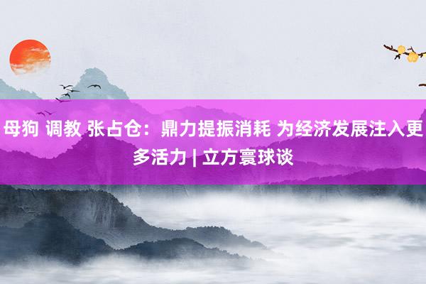 母狗 调教 张占仓：鼎力提振消耗 为经济发展注入更多活力 | 立方寰球谈