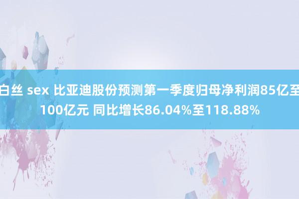 白丝 sex 比亚迪股份预测第一季度归母净利润85亿至100亿元 同比增长86.04%至118.88%